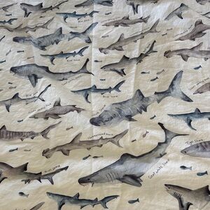 Pottery Barn kids shark print twin flat sheet